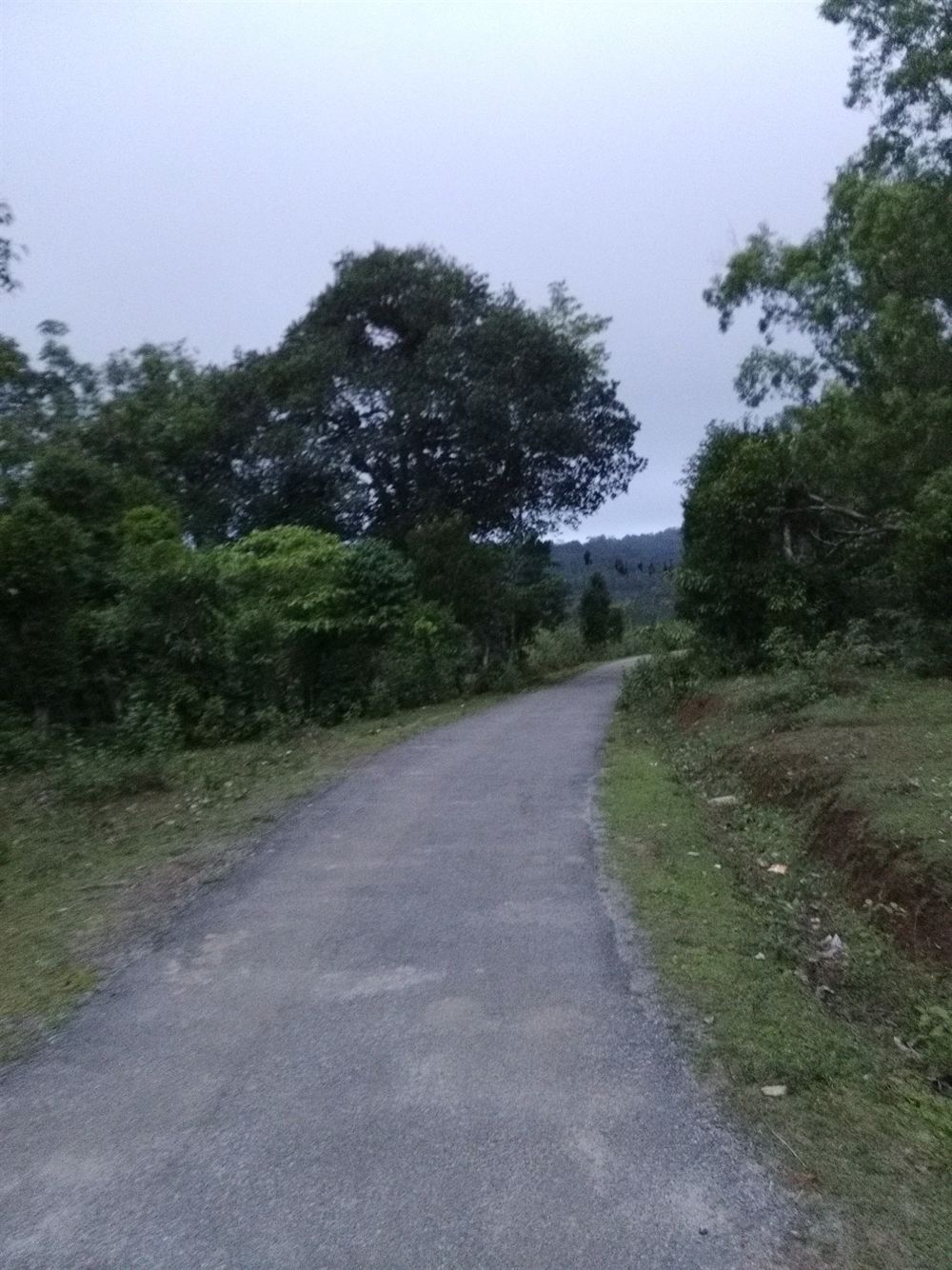 Rainathon S7